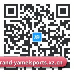 安卓官方签名客户端 二维码